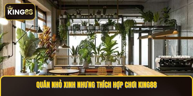 Danh Sách Các Quán Cafe Chơi King88 Ở TPHCM An Toàn 3 Quán nhỏ xinh nhưng thích hợp chơi KING88